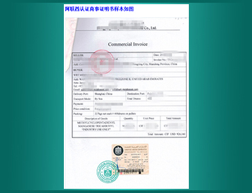 05-阿联酋商事说明书