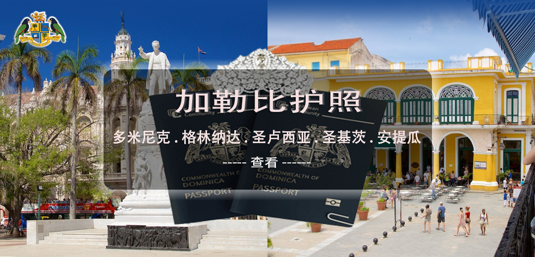 加勒比护照.jpg